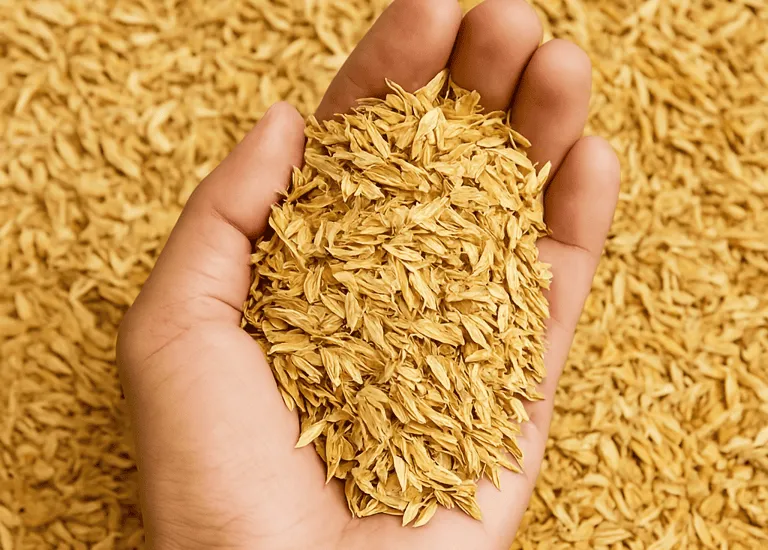Rice husk agricultural by-product